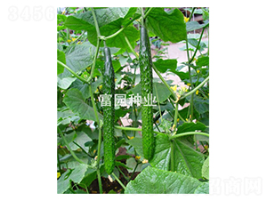 �����܊-�S�ϷN��-���@�N�I