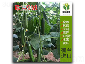 �W��998-�S�ϷN��-���@�N�I