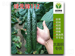 �G���h112-�S�ϷN��-���@�N�I