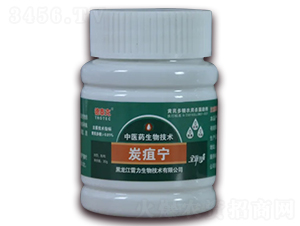 ̿�Ҍ�-��̩��-��������