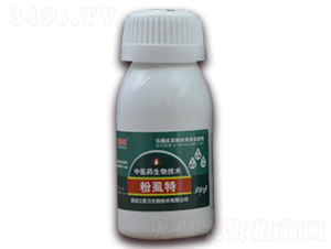 ��ʭ��-��̩��-��������