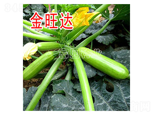 �����_-�����J�N��-���@�N�I