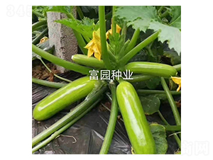 �G��-�����J�N��-���@�N�I