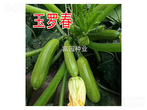 ���_��-�����J�N��-���@�N�I