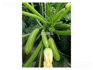 ����303-�����J�N��-���@�N�I