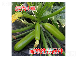 �G��4̖-�����J�N��-���@�N�I