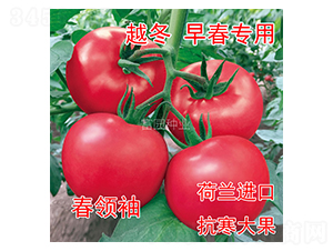 ���I��-���ѷN��-���@�N�I