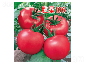 ����106-���ѷN��-���@�N�I