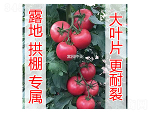 ���R�d-���ѷN��-���@�N�I