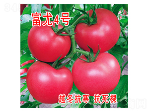 ����4̖-���ѷN��-���@�N�I