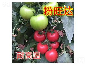 �����_-���ѷN��-���@�N�I