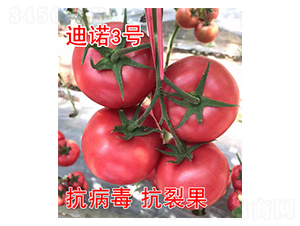 ���Z3̖-���ѷN��-���@�N�I