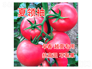 ���I��-���ѷN��-���@�N�I