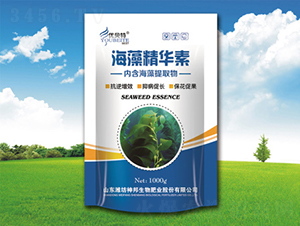 ���徫�A��-������� 