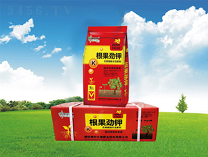 �������-�������