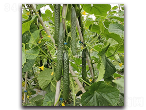 ����802-�S�ϷN��-���зN�I