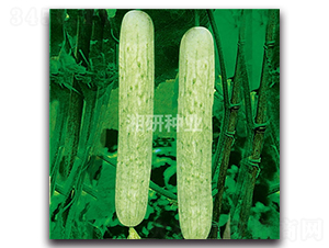 ��@һ̖-�S�ϷN��-���зN�I