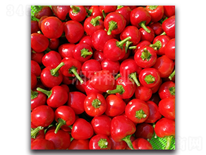 ��������-���콷�N��-���зN�I