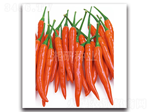 ���G��̖-���콷�N��-���зN�I