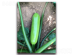 ��һ̖F1-�����J�N��-Ψ�r�N�I