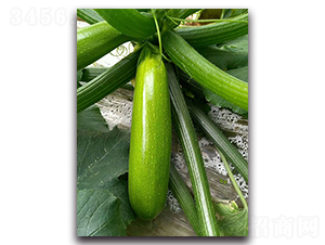 �¾G��F1-�����J�N��-Ψ�r�N�I