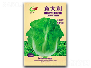 �������Y������-���˷N��-����