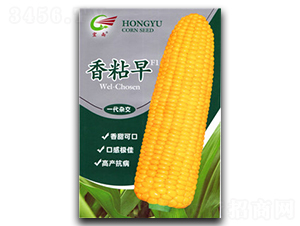 ��ճ��-Ŵ���׷N��-����