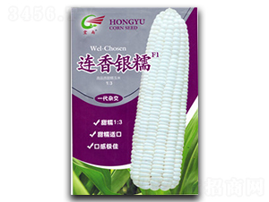 �B���yŴ-Ŵ���׷N��-����