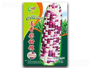 �B�����Ŵ-Ŵ���׷N��-����