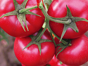 ����8̖F1-�۹����ѷN��-Ψ�r�N�I