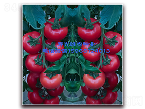 ȫ������F1-�۹����ѷN��-Ψ�r�N�I