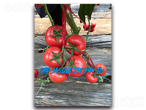 ������F1-�۹����ѷN��-Ψ�r�N�I