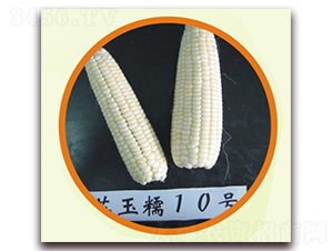 �K��Ŵ10̖-Ŵ���׷N��-�к̷N�I