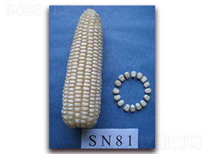 �K��Ŵ639̖-Ŵ���׷N��-�к̷N�I