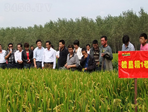 �Ŵ1̖-ˮ���N��-�к̷N�I