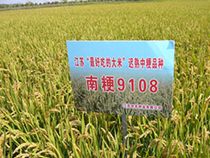 �Ͼ�9108-ˮ���N��-�к̷N�I