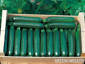 ī����-�����J�N��-����