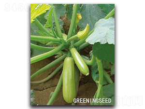 ����-�����J�N��-����