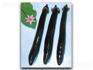 �����L(zh��ng)Ұ��-���ӷN��-����