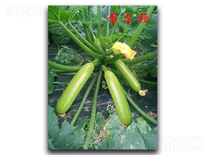 ϣ���D-�����J�N��-�r���r�I