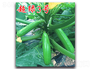 ���G3̖-�����J�N��-�r���r�I