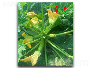 ����-�����J�N��-�r���r�I