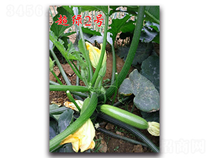 ���G2̖-�͟������J�N��-�r���r�I