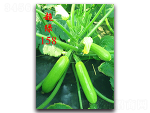 ���G158-�����������J�N��-�r���r�I