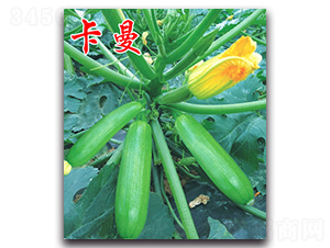 ����-�����J�N��-�r���r�I