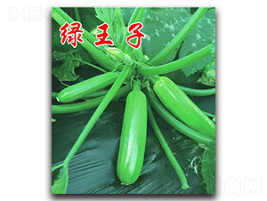 �G����-¶�������J�N��-�r���r�I