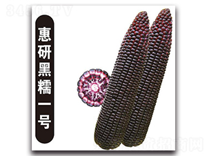 ���к�Ŵһ̖-Ŵ���׷N��-�Є����S