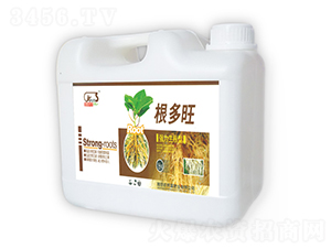 ������-ʩ����-�r�