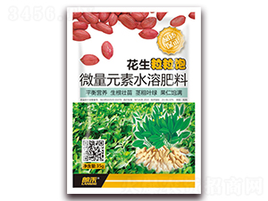 ���������-�ʺ�-���A���� 