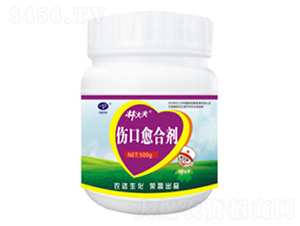 �������τ�-�ִ��-�r�_����